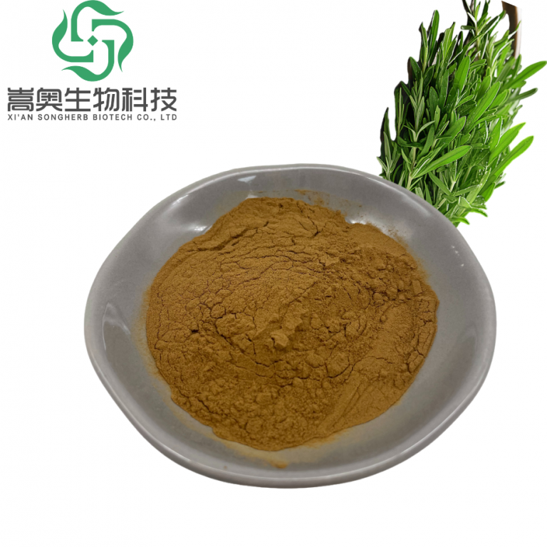 默认标题__2025-03-21+20_23_12