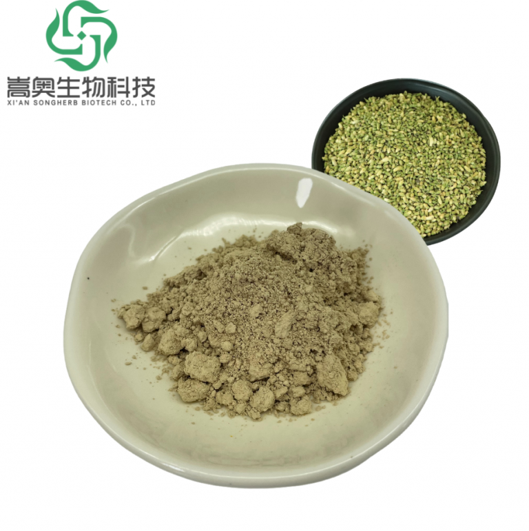 默认标题__2025-03-21+20_56_42