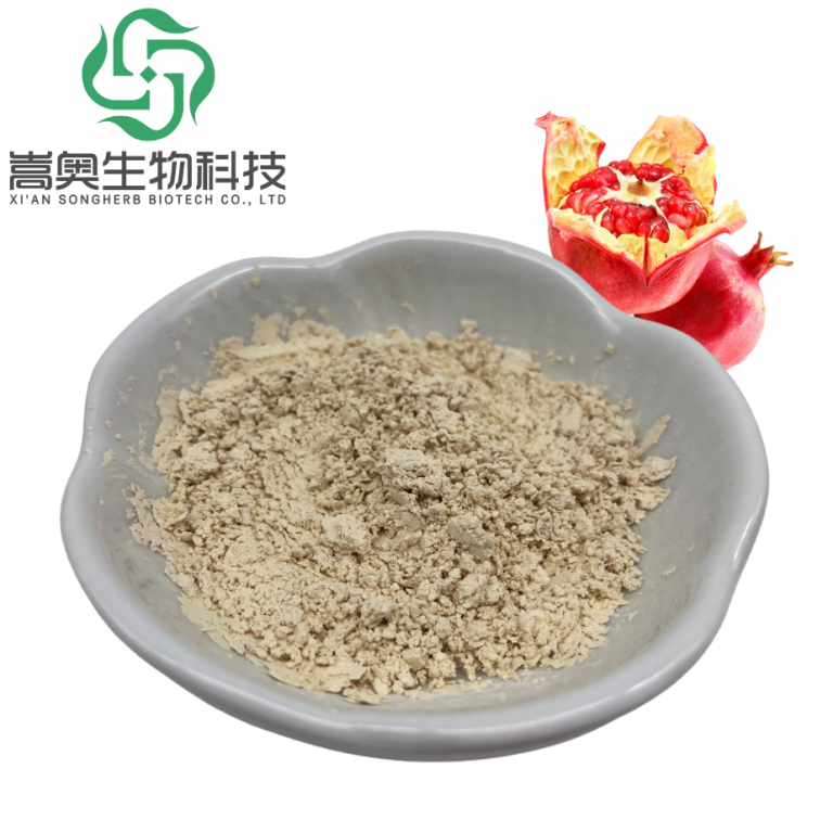 默认标题__2025-03-25+16_27_53