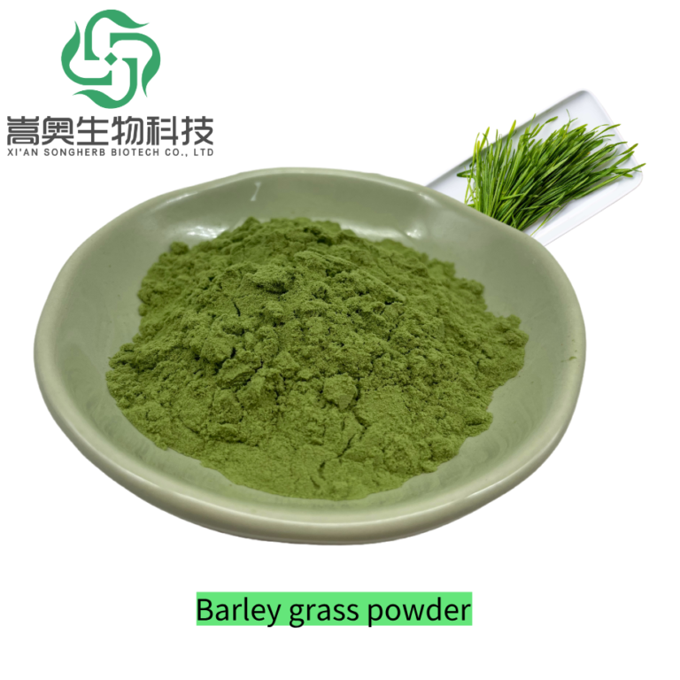 默认标题__2025-04-01+14_42_59