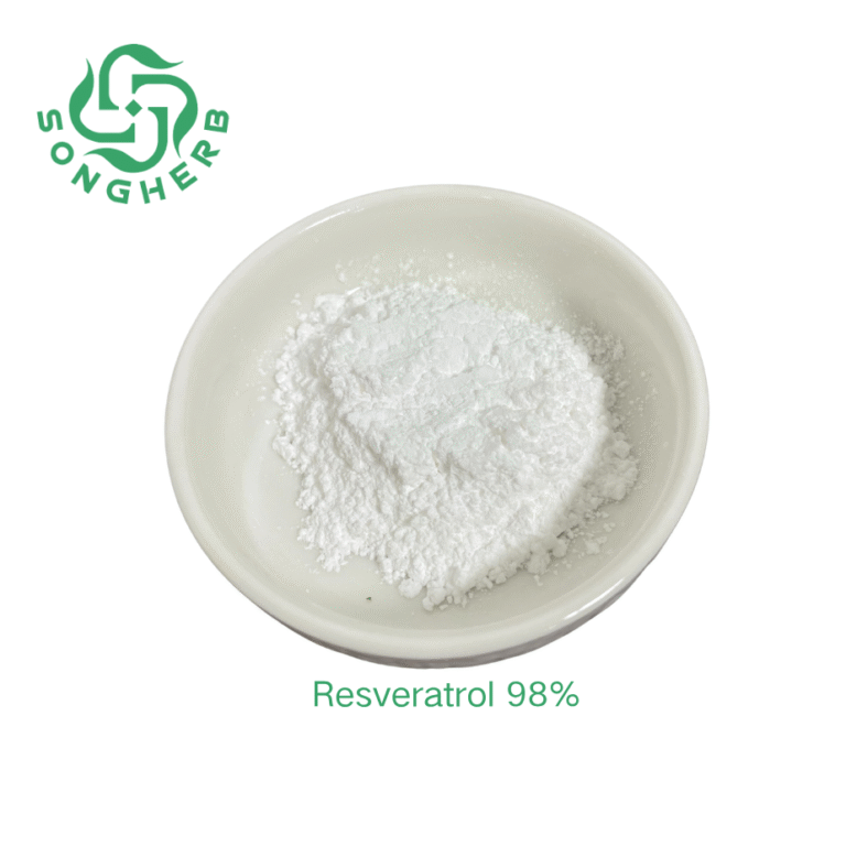 你的段落文字 (1)