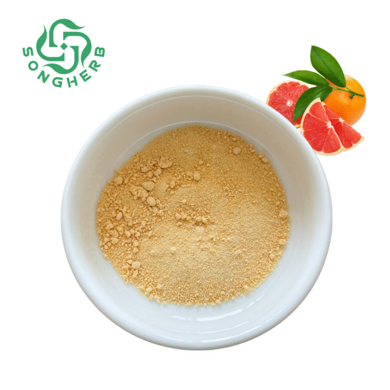 未命名的设计 (1)