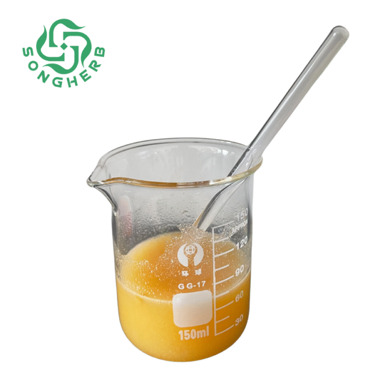 未命名的设计 (2)