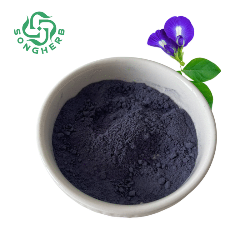 未命名的设计 (3)