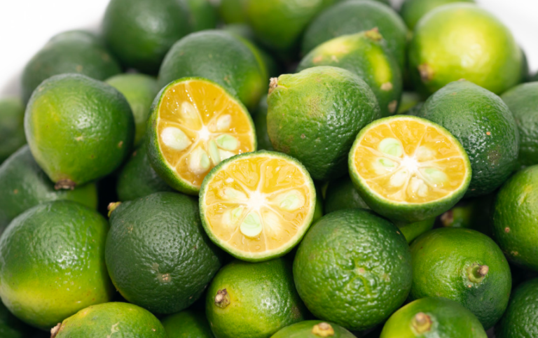 08d5ec5af8b2e76796164d50d33f8631