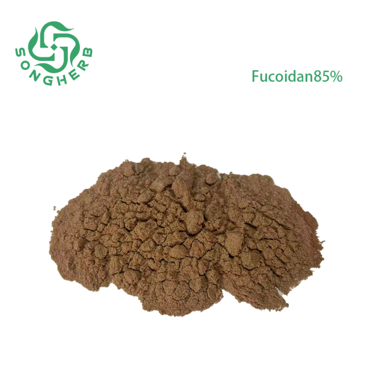 Fucoidan 85%